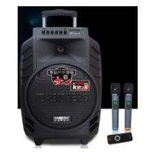 Акустика TEMEISHENG SL12-14 (12“дюйм)